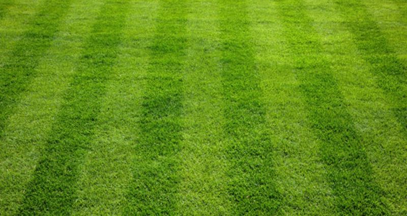 Mowing
