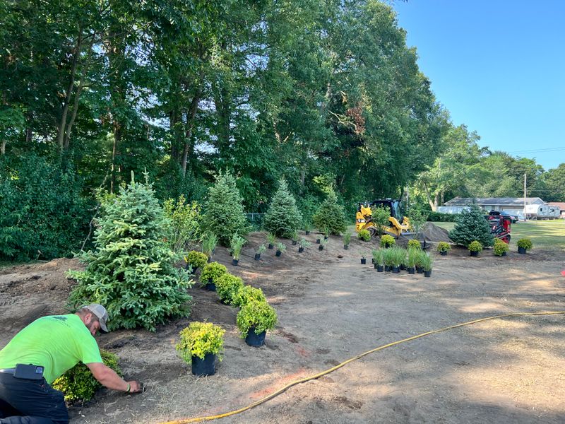 Landscaping