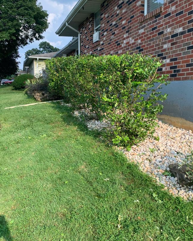 Lawn Care