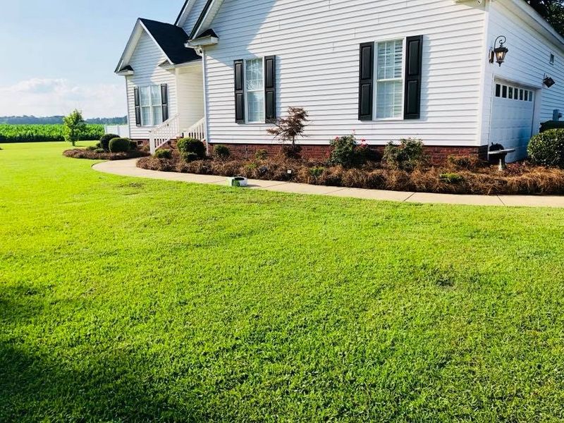 Lawn Maintenance
