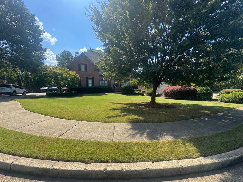 Shrub Trimming & Landscape Bed Care