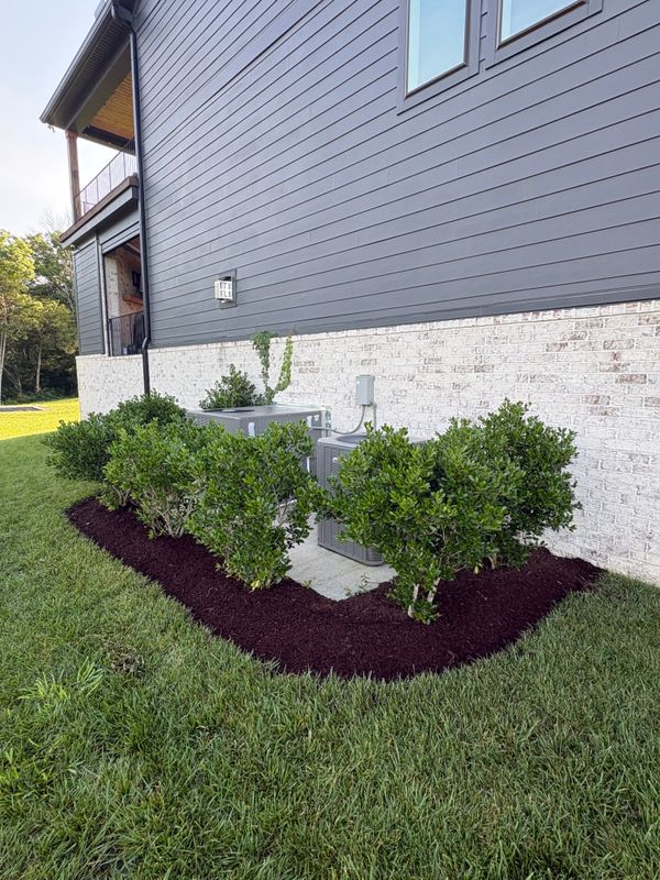 Lawn Maintenance