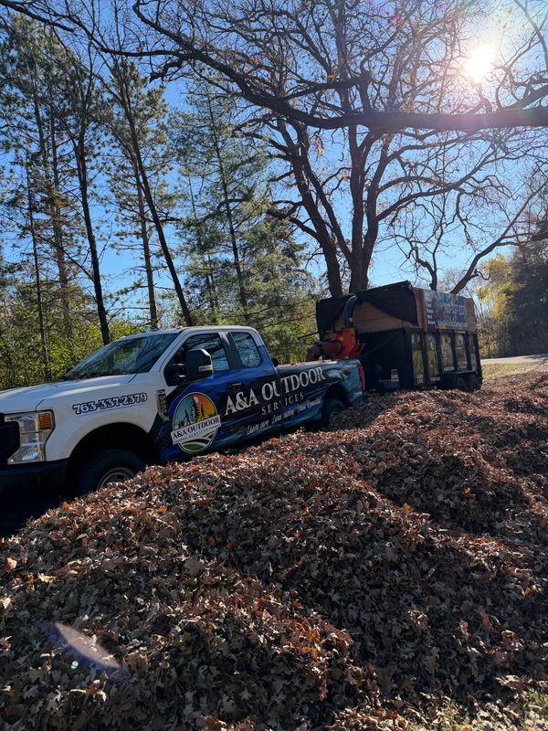 Fall Clean Up