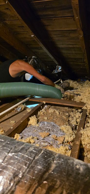 Attic insulation removal and crawl space insulation removal