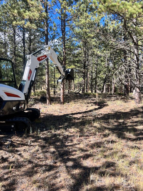 Land Clearing