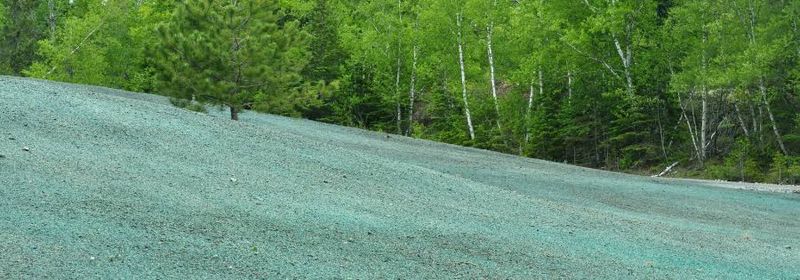 Residential Hydroseeding