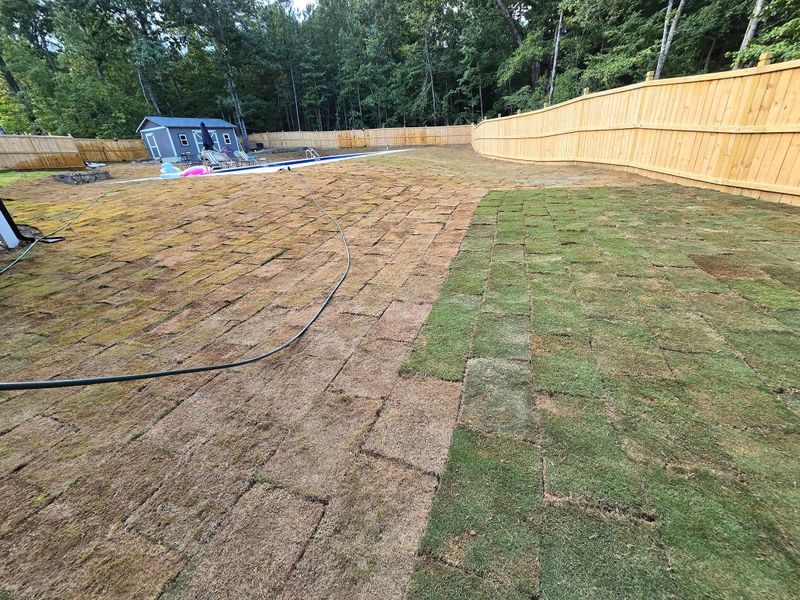 Sod  Installing