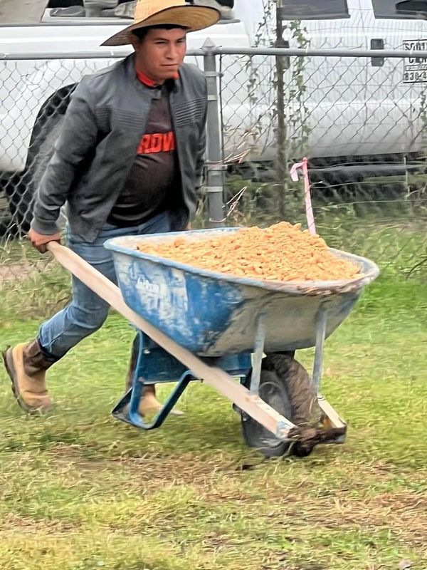 Day Laborer Hourly Rates