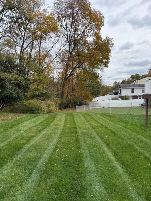 Mowing