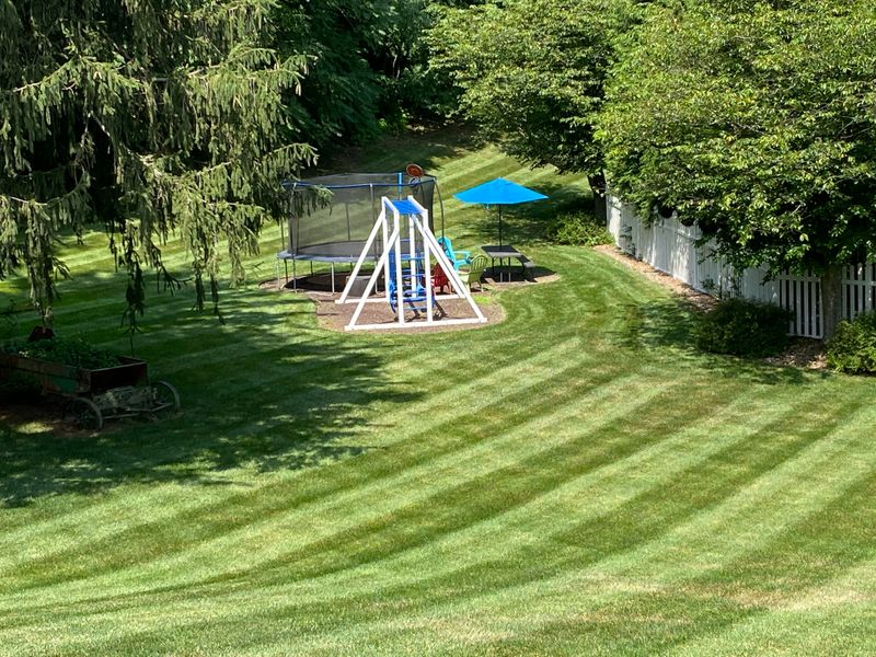 Garden Maintenance