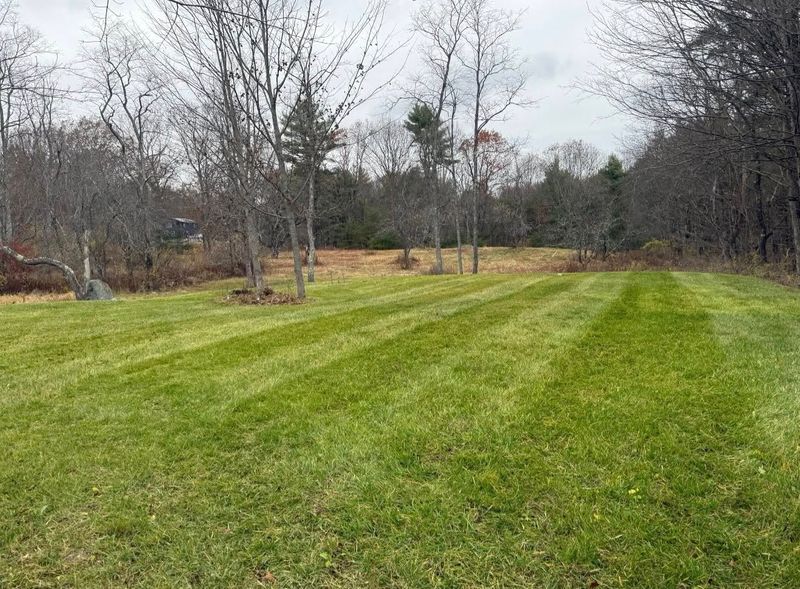 Lawn Maintenance