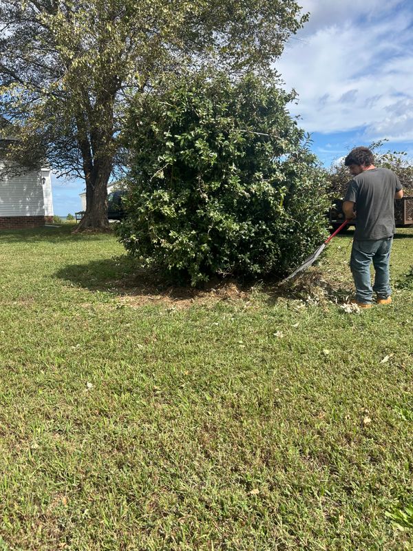 Shrub & Plant Trimming 