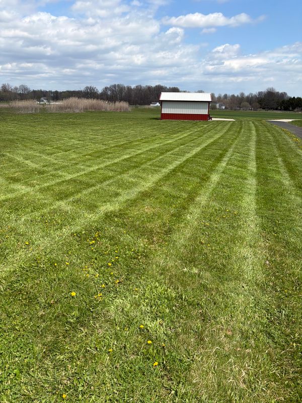 Mowing