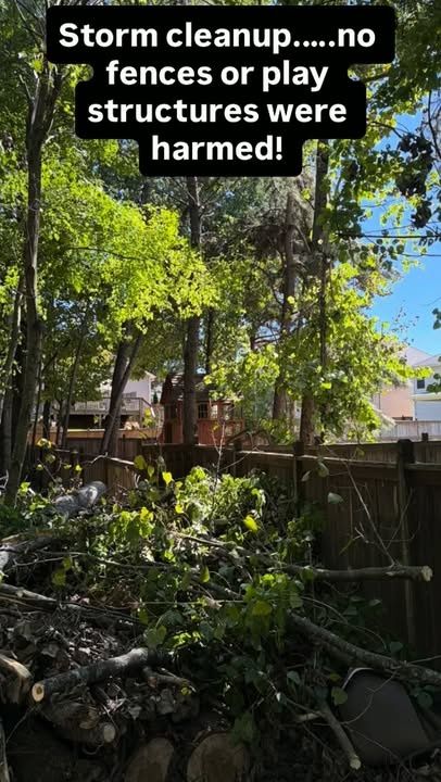 Tree Work