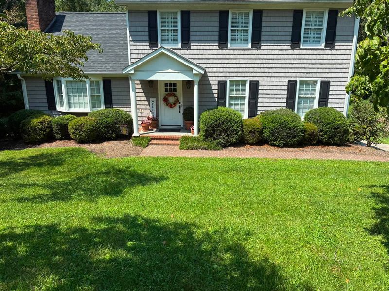 Tree & Shrub Care
