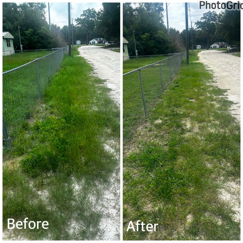 Before & After