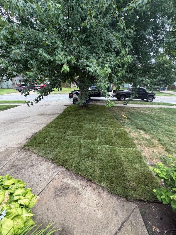 Sod Installation