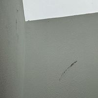 Interior Renovations