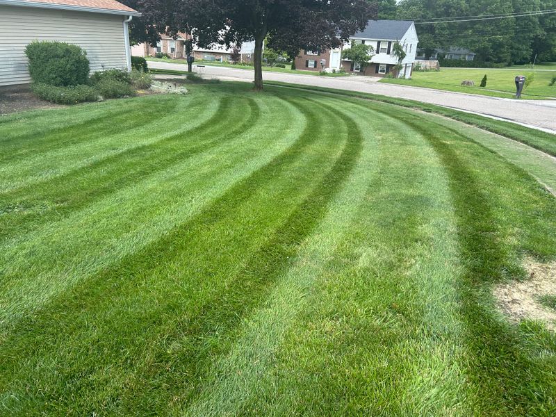 Our Mowing