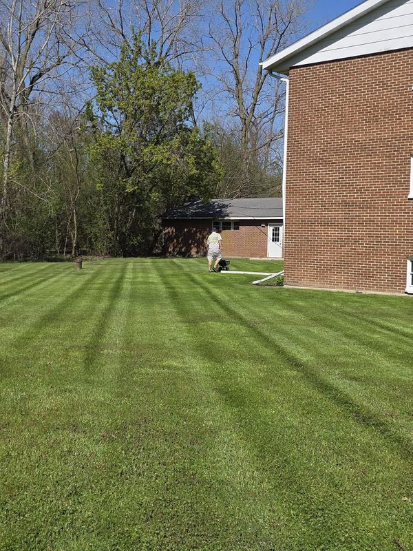 Lawn Maintenance