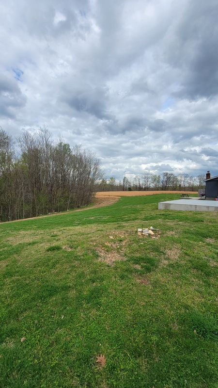 Land Clearing gallery