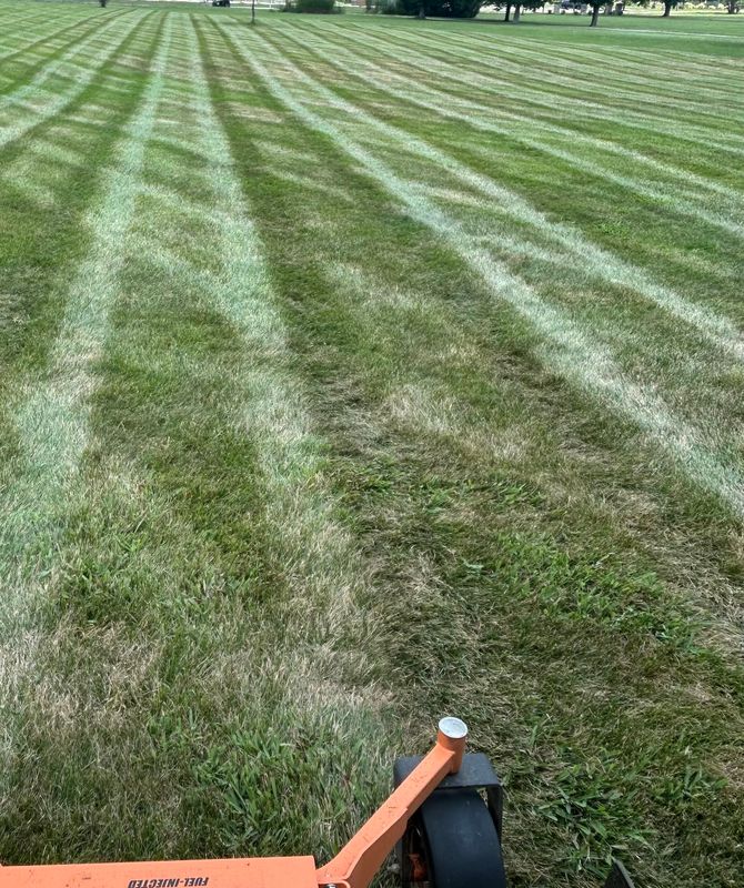 Our Mowing