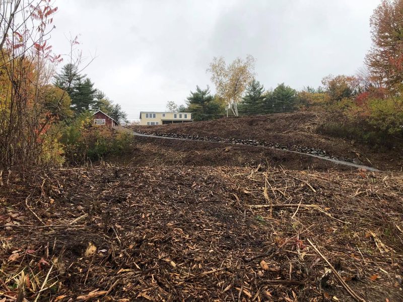 Stump Grinding and Removal