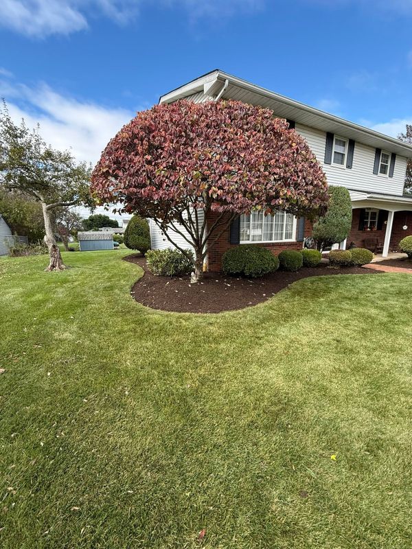 Landscape Design & Installation