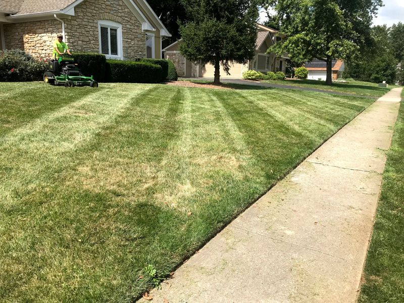 Shrub Trimming