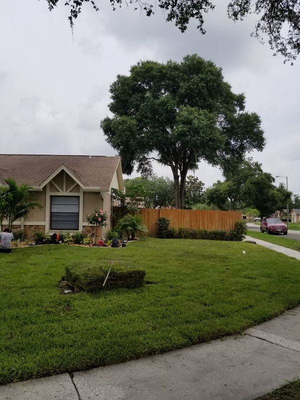 Landscaping
