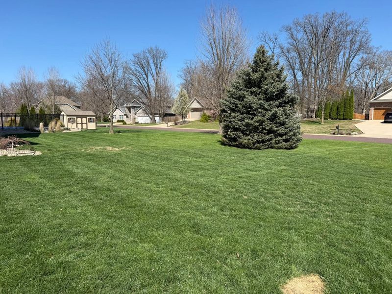 Lawn Maintenance