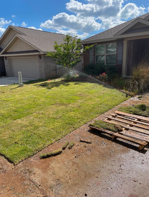 Sod Installation