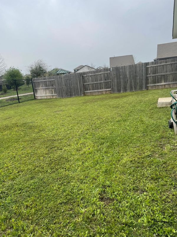 Lawn Maintenance