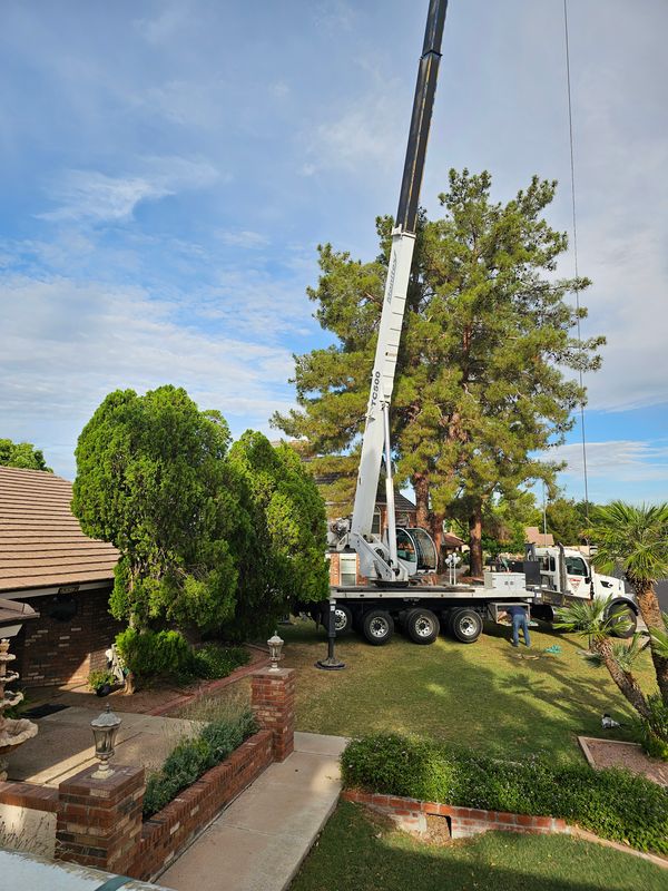 Crane Work