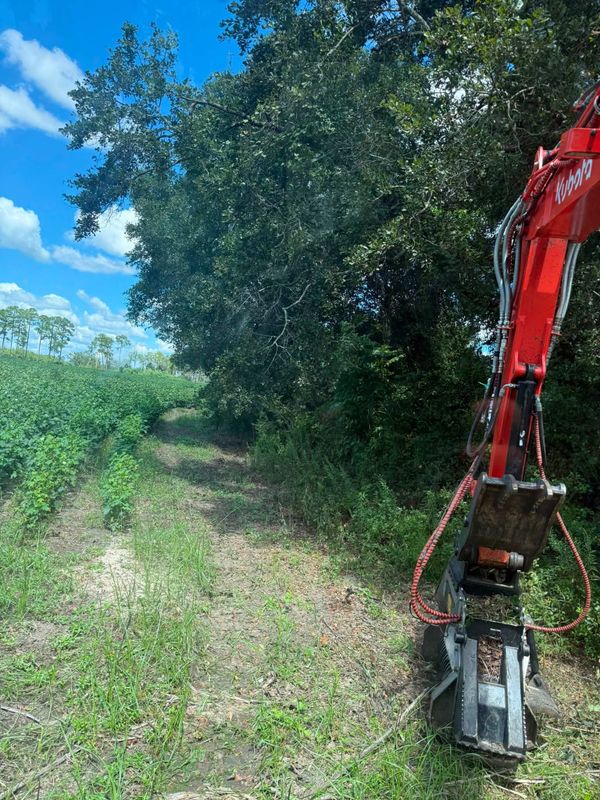 Land Clearing