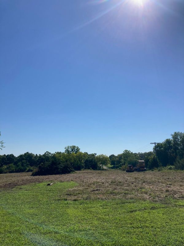 Land Clearing
