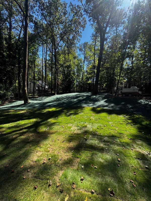 Hydroseeding gallery