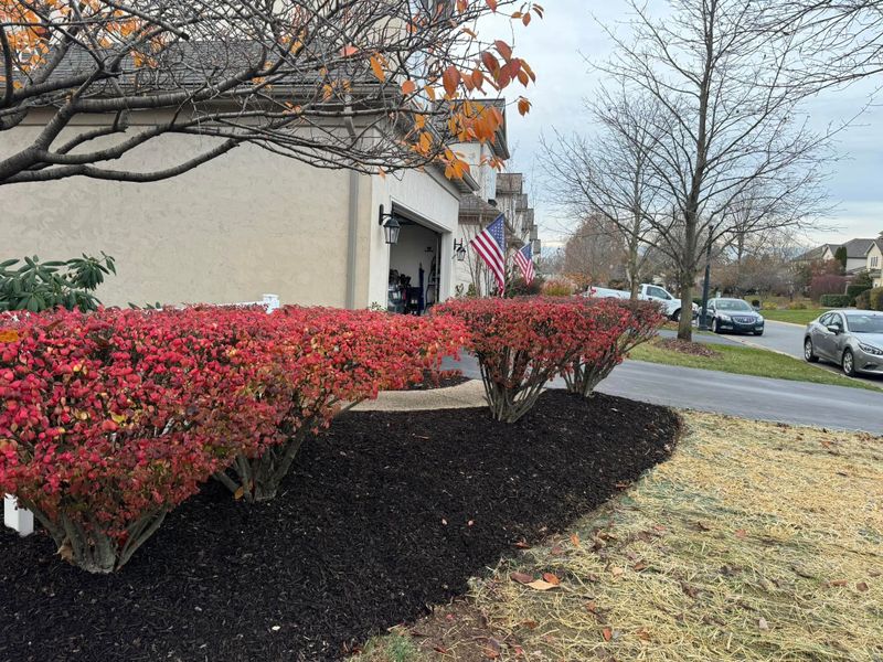 Landscaping