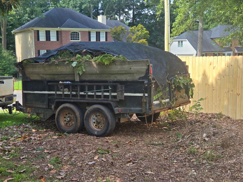 Dumpster Rental
