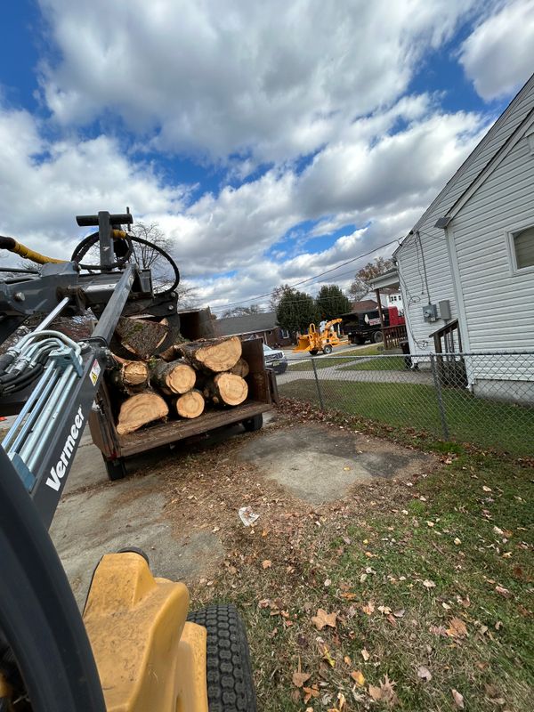 Stump Removal