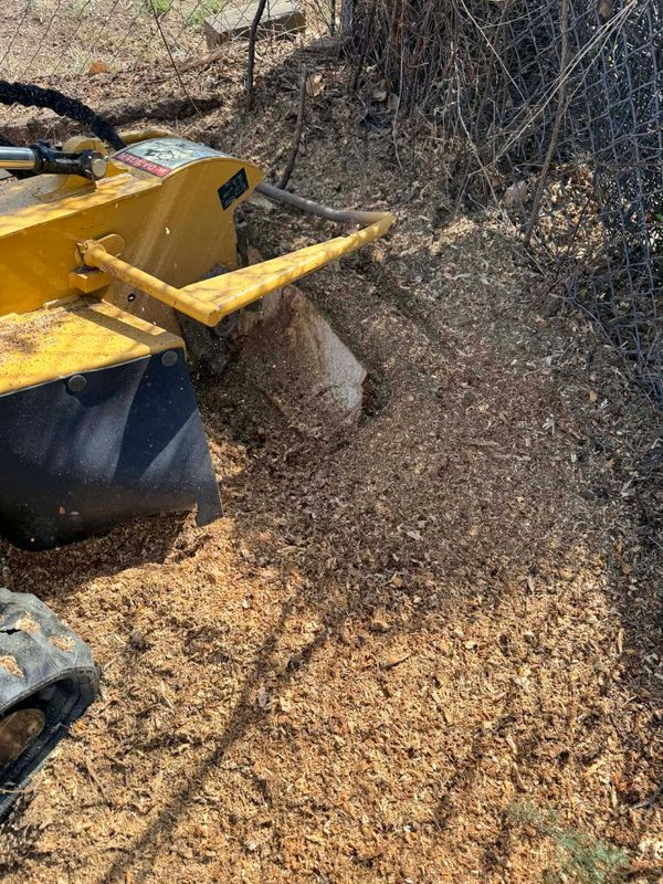 Stump Removal