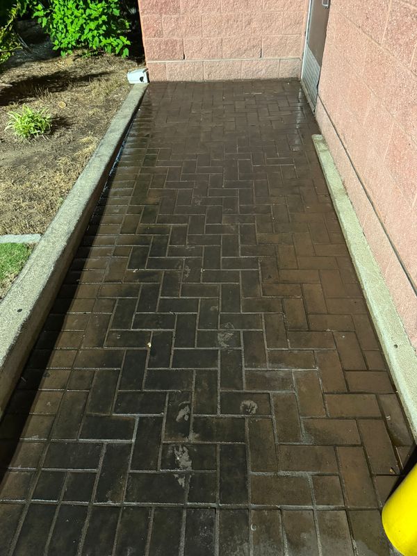 Driveway and Sidewalk Cleaning