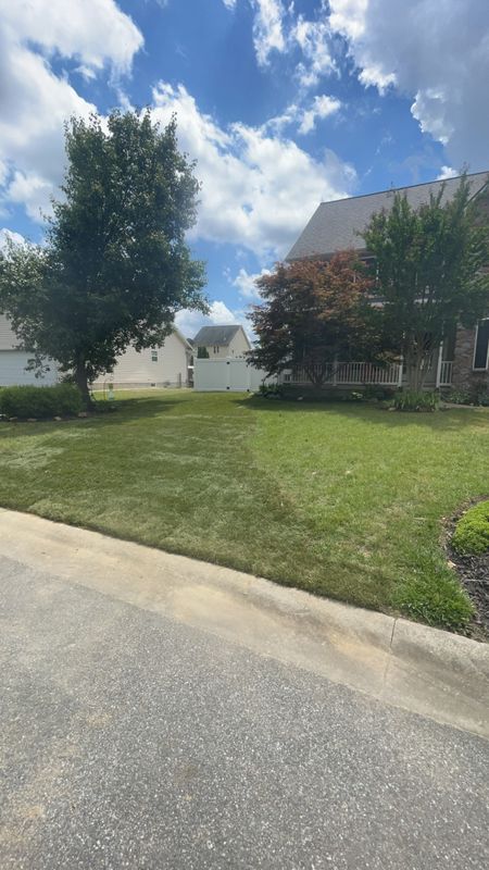 Hydro-seeding and sod installation