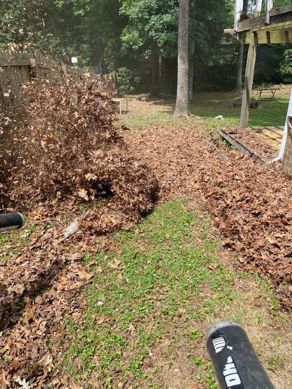 Leaf Removal