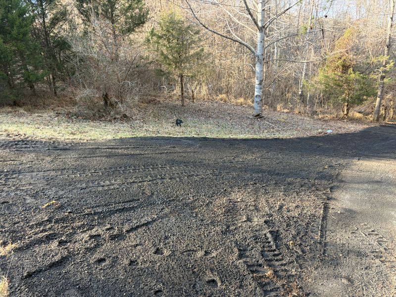 Driveway Regrading