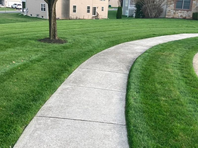 Lawn Maintenance