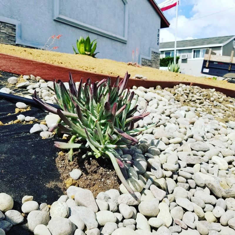 Landscape Design