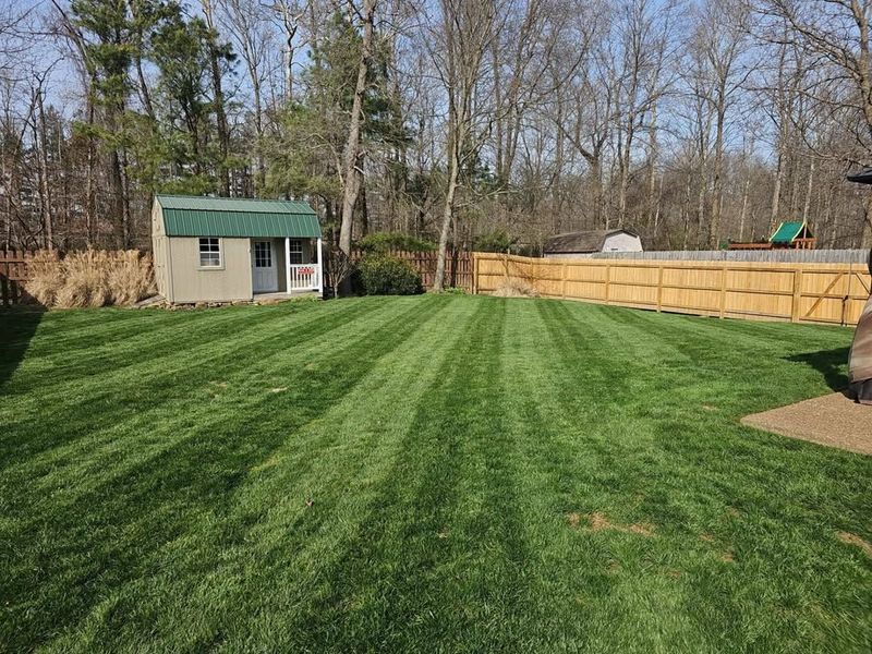 Lawn Maintenance Service