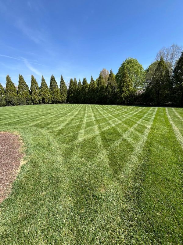 Garden Maintenance