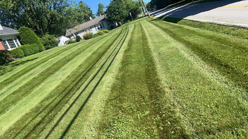 Lawn Maintenance